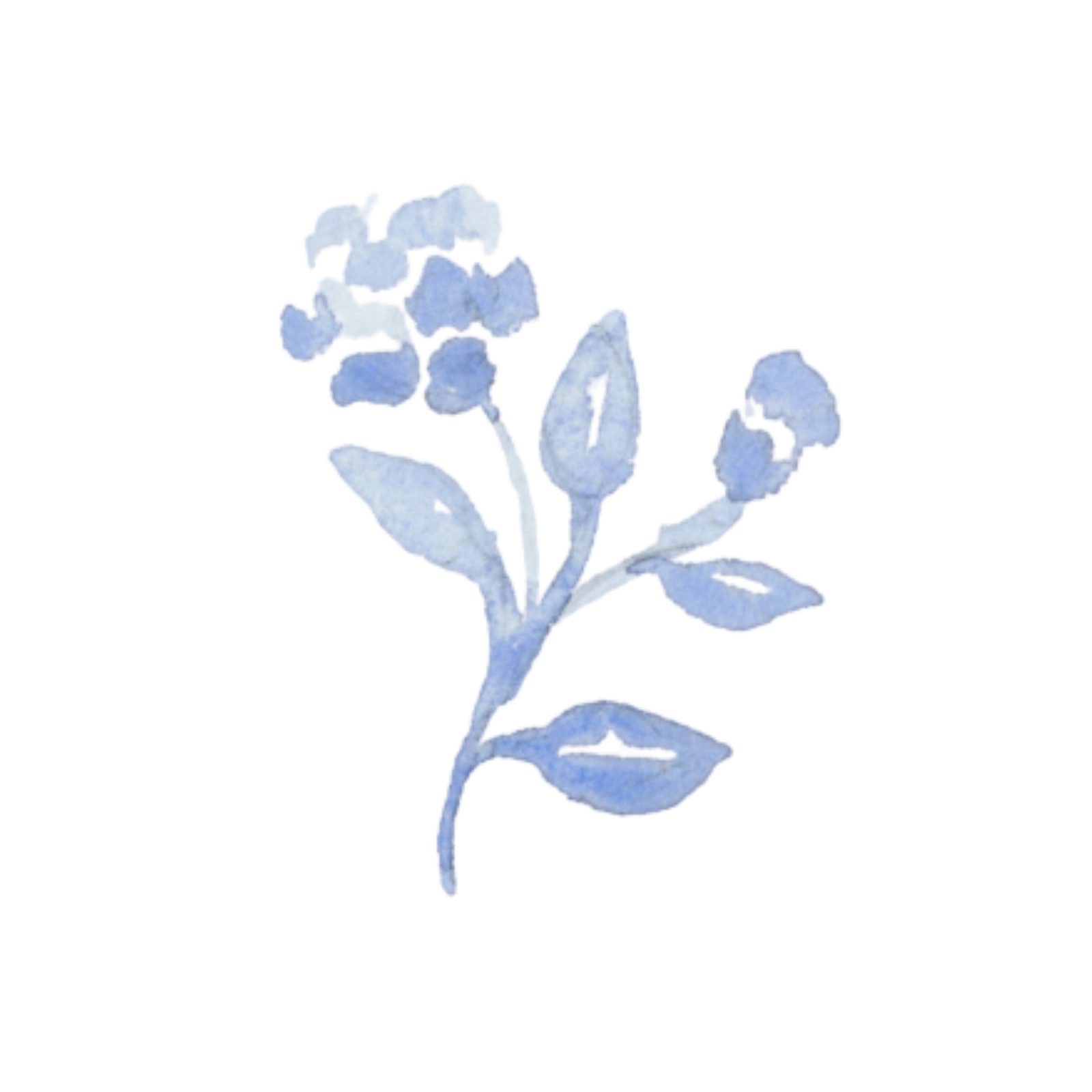 Laura Wifler & Caroline Greb